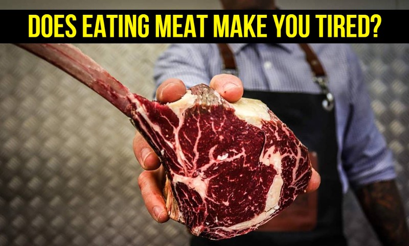 Does eating meat make you tired?