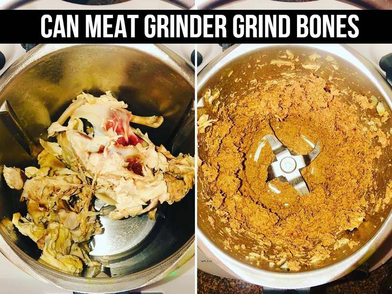 Can Meat Grinder Grind Bones