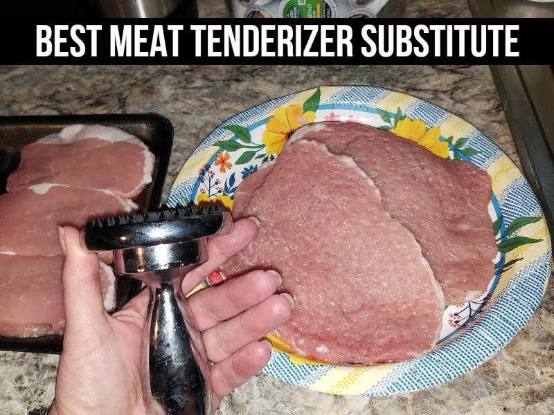 Best Meat Tenderizer Substitute