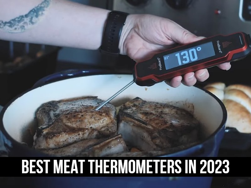 Best Meat Thermometers in 2023